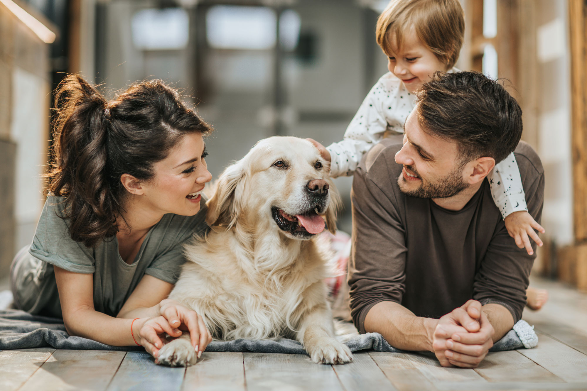 image-accueil-famille-ventum-air